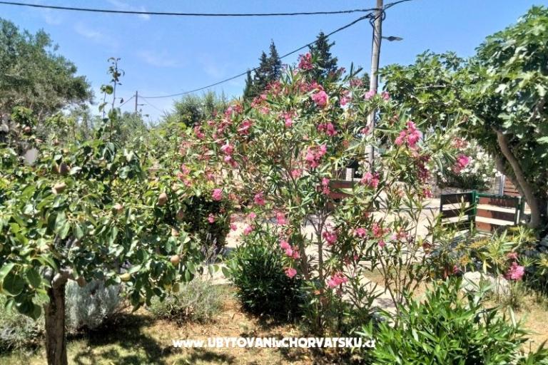 Appartamenti Budija / Lavanda – foto 8