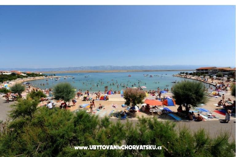 Appartamento IVA - VIR – foto 7