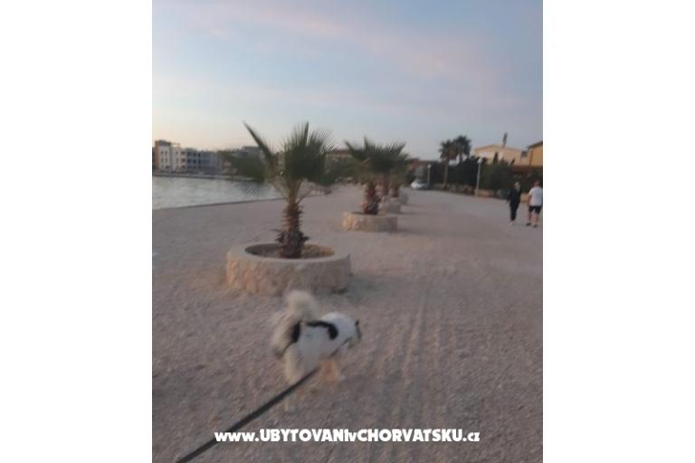 Appartamenti IVA – foto 35