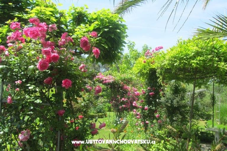 Appartamenti Pavlica – foto 11