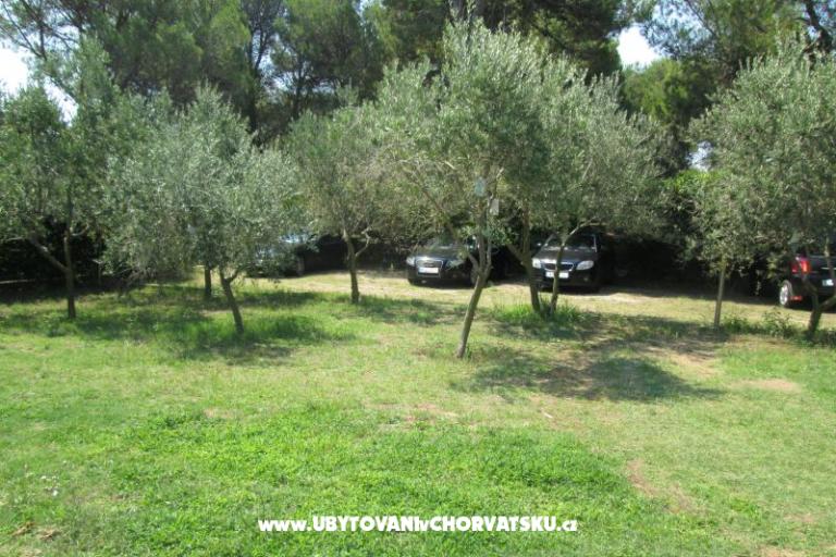 Appartamenti Pavlica – foto 8
