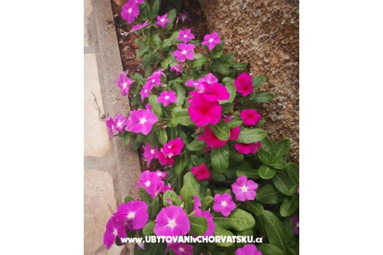 Appartamenti Vlašić – foto 9