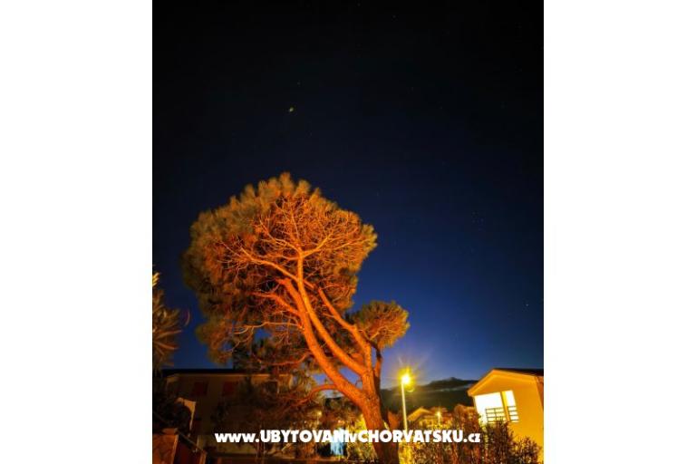 Appartamenti Dragicevic – foto 28