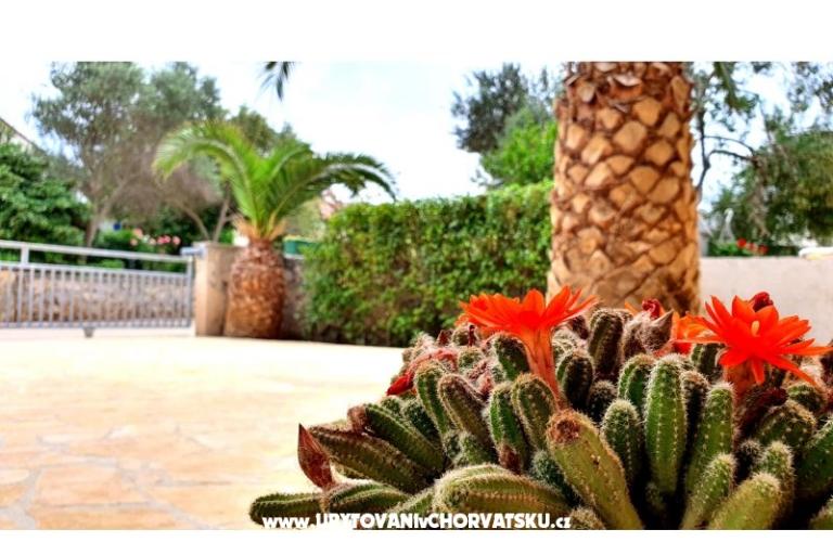 Happy Pineapple Appartamenti Vir – foto 6