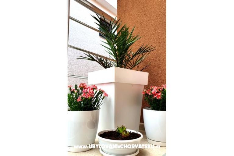 Happy Pineapple Appartamenti Vir – foto 7