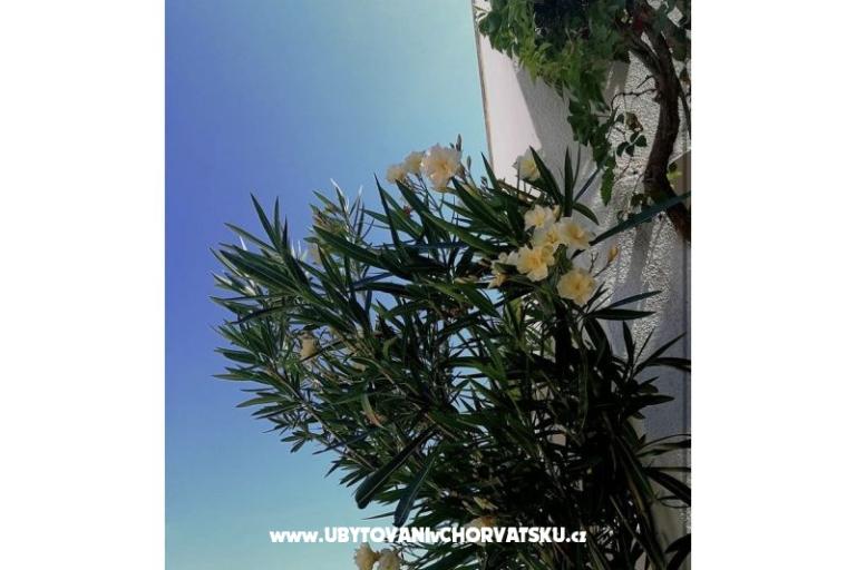 Ivo Nedić Appartamenti – foto 12