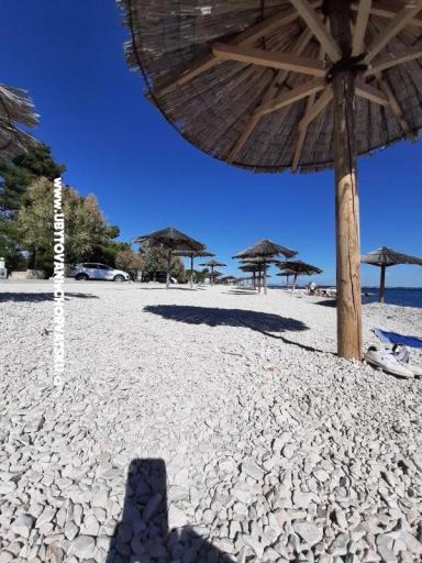MILA Appartamenti – foto 5