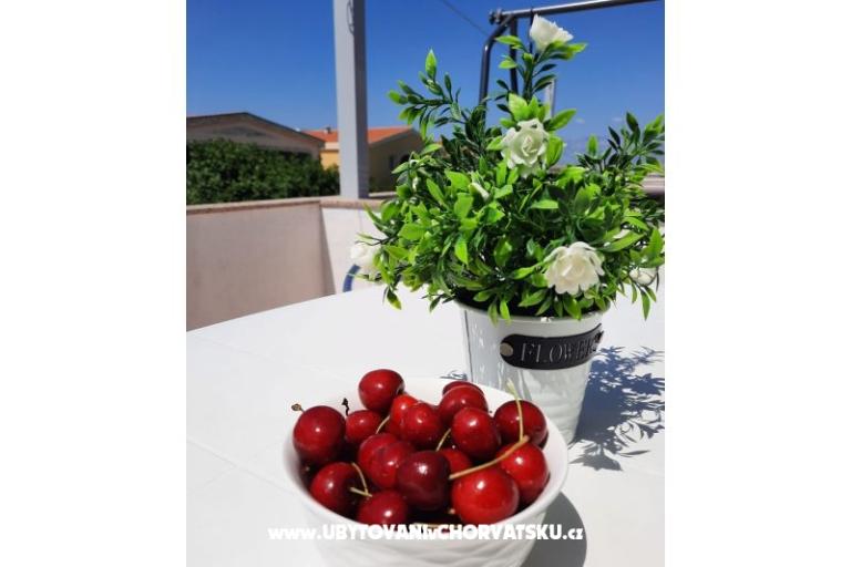 Nedić Appartamenti – foto 8