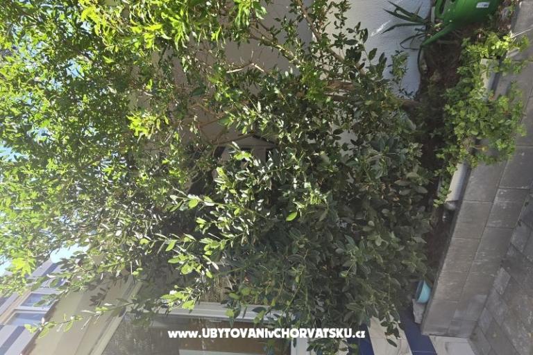 Sunset Paradise Appartamenti Vir – foto 57