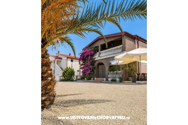 ZELIC FAMILY VIR – foto 12