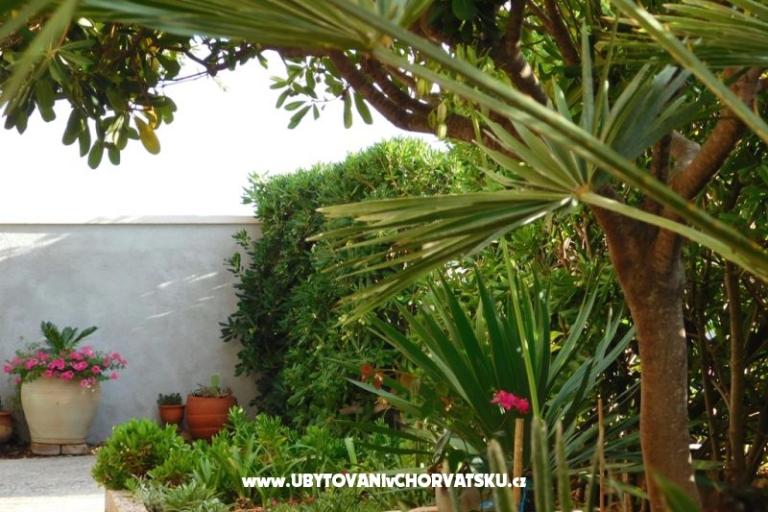 Vis - Appartamenti Utrobicic – foto 11