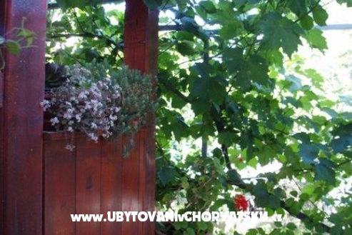 Appartamenti Tina – foto 9