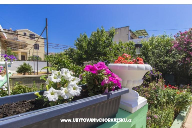 Appartamenti Alaga – foto 5