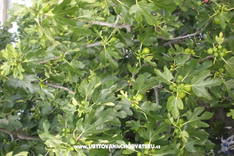 Appartamenti  Smokva   – foto 15