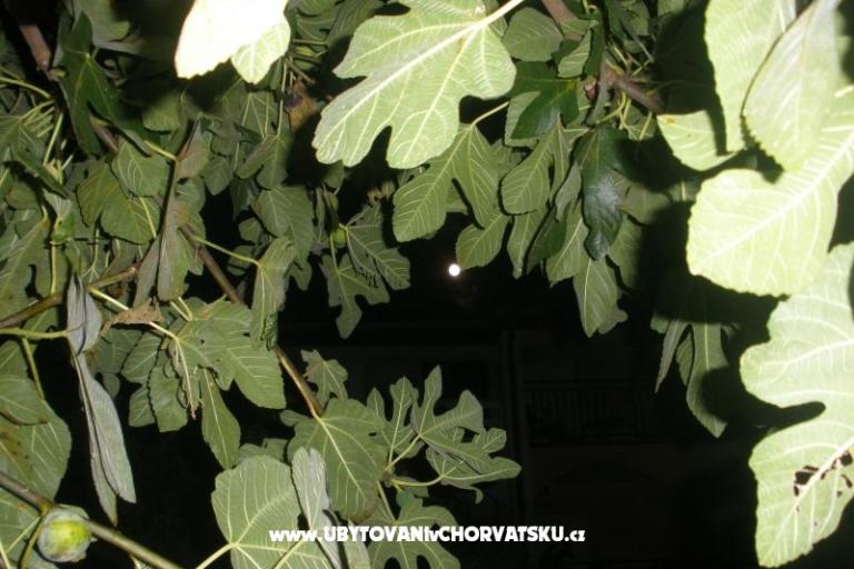 Appartamenti  Smokva   – foto 4