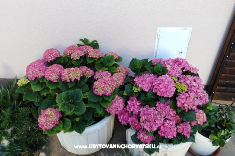 Appartamenti NIKA – foto 16