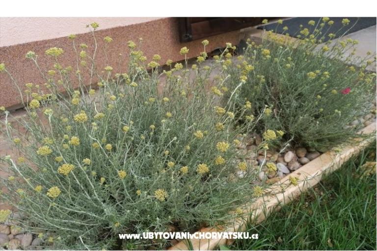 Appartamenti NIKA – foto 18