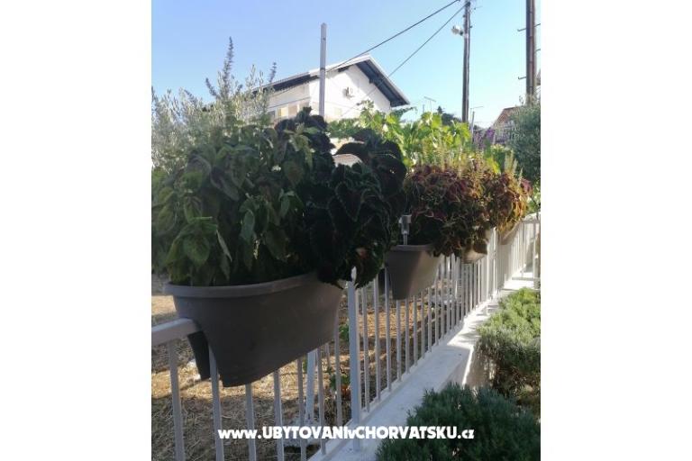 Appartamenti NIKA – foto 8