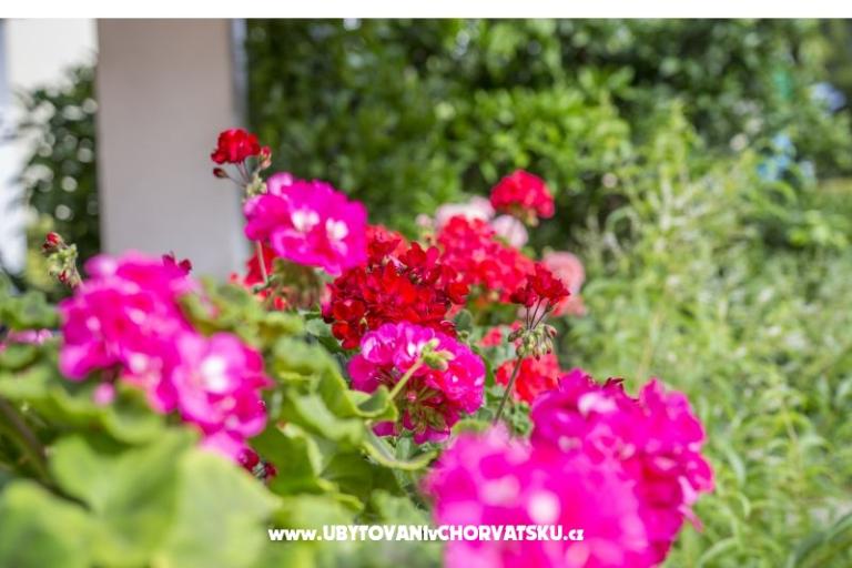 Appartamenti Ines – foto 3