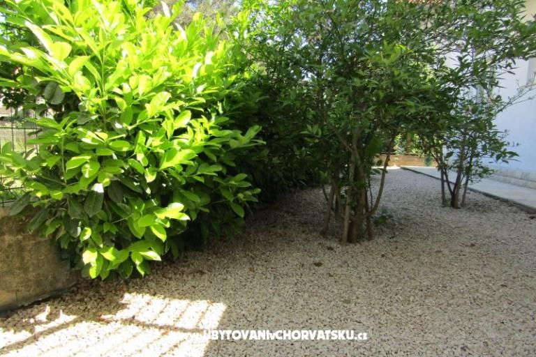 Appartamenti Kokor – foto 11