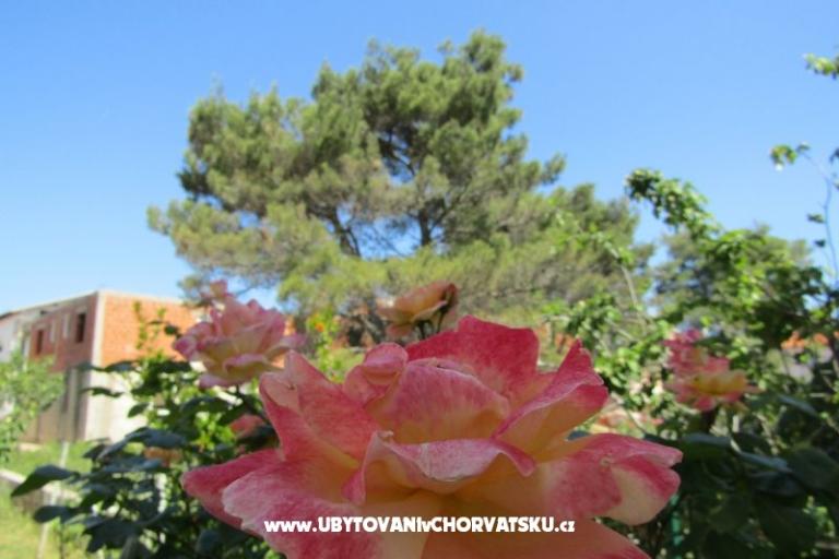 Appartamenti Kokor – foto 14