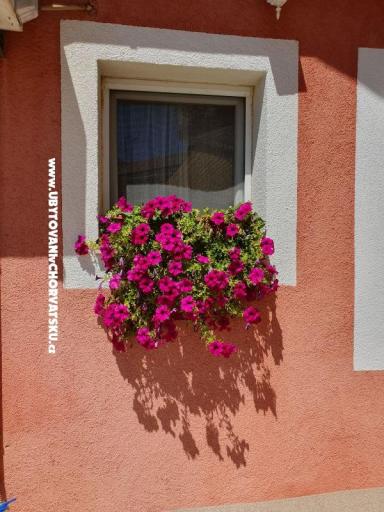 Appartamenti Nana – foto 17