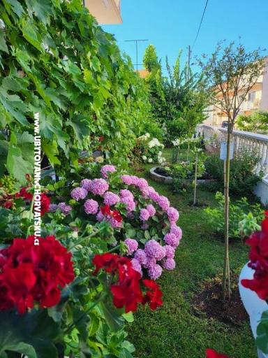 Appartamenti Rino – foto 35
