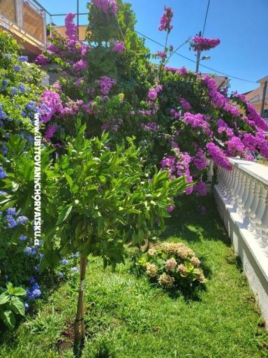Appartamenti Rino – foto 36