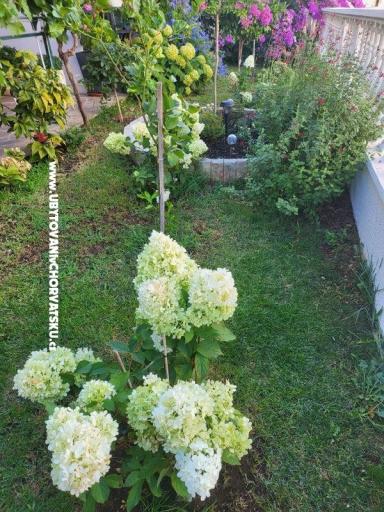 Appartamenti Rino – foto 37