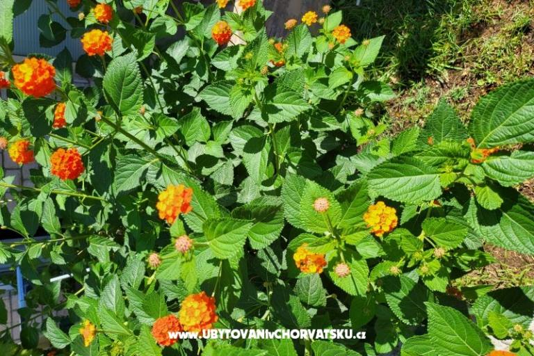 Appartamenti Rino – foto 38