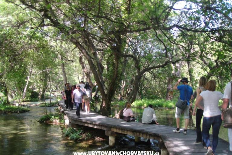 Appartamenti Srdarev Pencov – foto 11