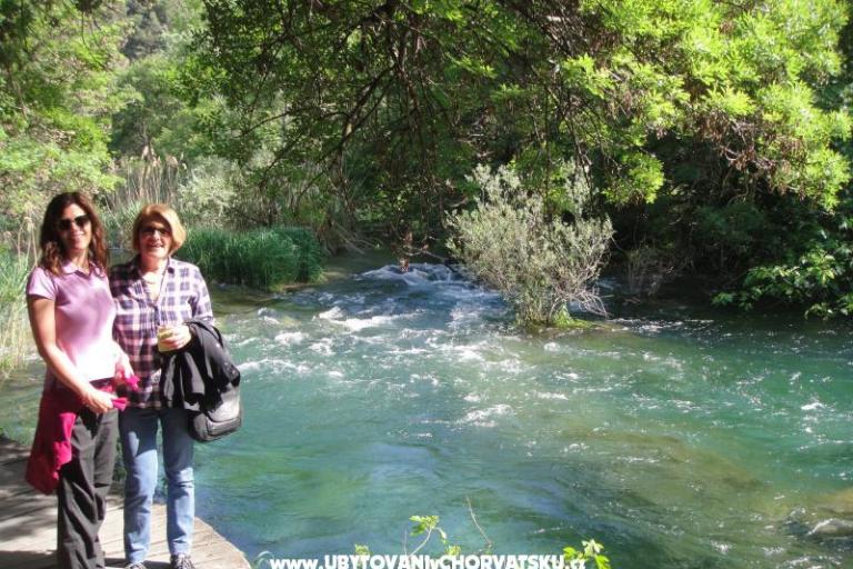 Appartamenti Srdarev Pencov – foto 9