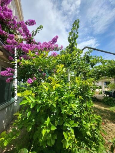Appartamenti Vinka – foto 23