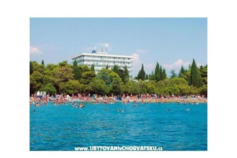 Appartamenti Vranjković – foto 7