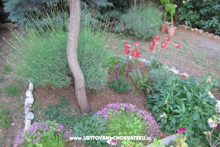 Appartamenti Zvonimir – foto 11