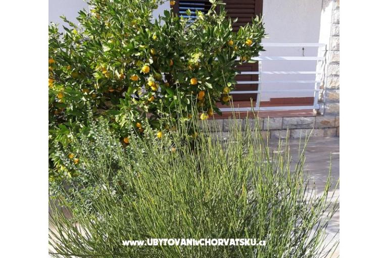 Appartamenti Vitali – foto 10