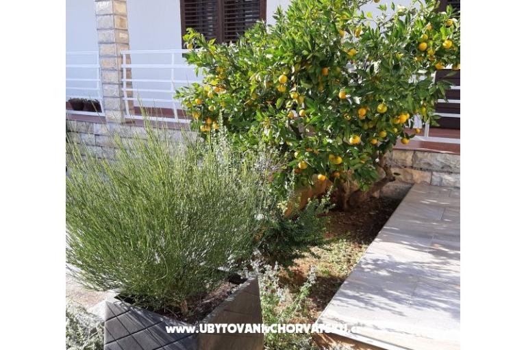 Appartamenti Vitali – foto 11