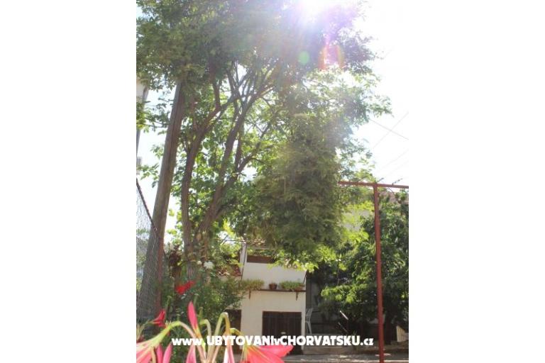 Appartamenti Vitali – foto 5