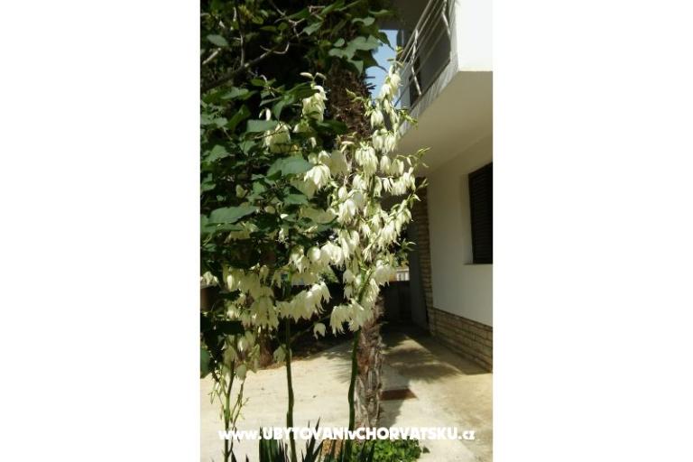 Appartamenti Vitali – foto 6