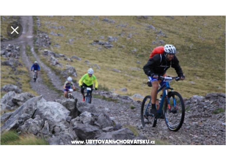Appartamenti Ivica i Ljuba Cukrov  – foto 17