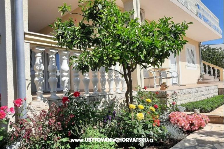 Appartamenti Duzelovi dvori  – foto 15