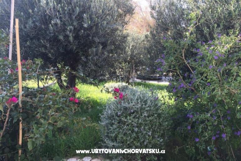 Appartamenti Villa Tribunj – foto 3