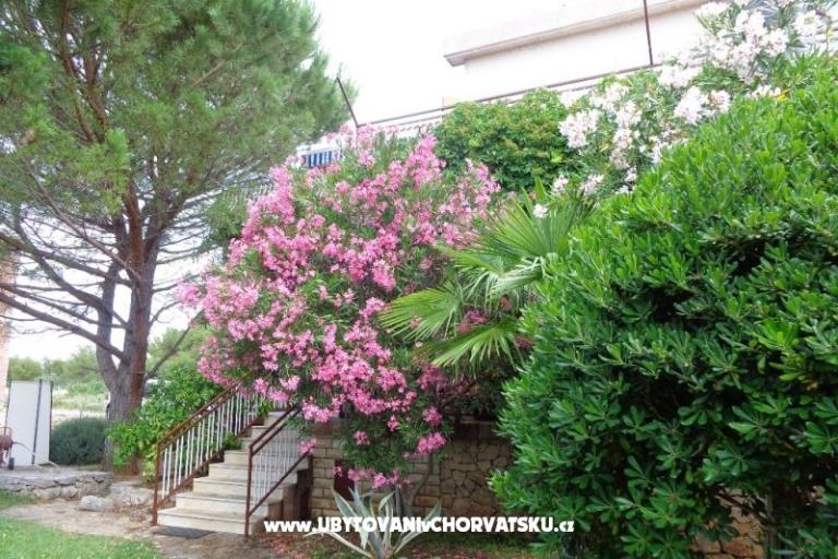 Appartamenti  IVAN   – foto 17