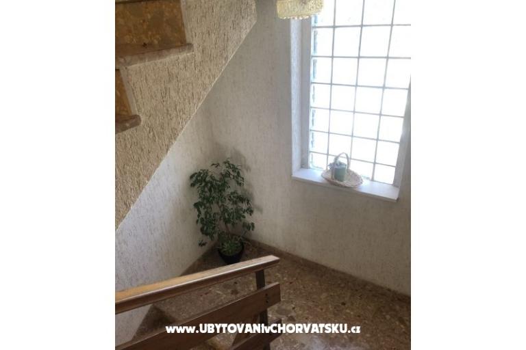 Kiwi Casa – foto 13