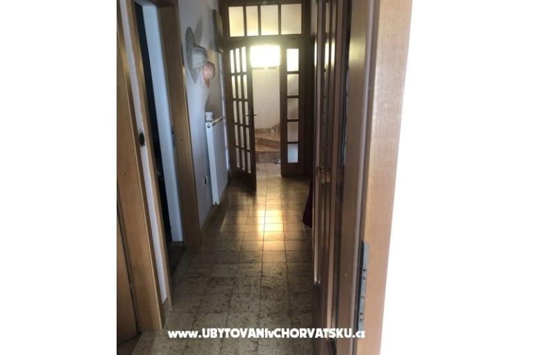 Kiwi Casa – foto 15