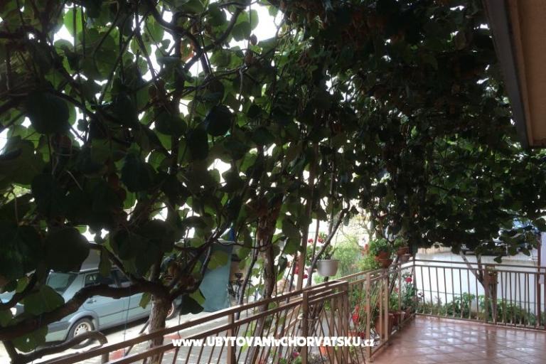 Kiwi Casa – foto 5