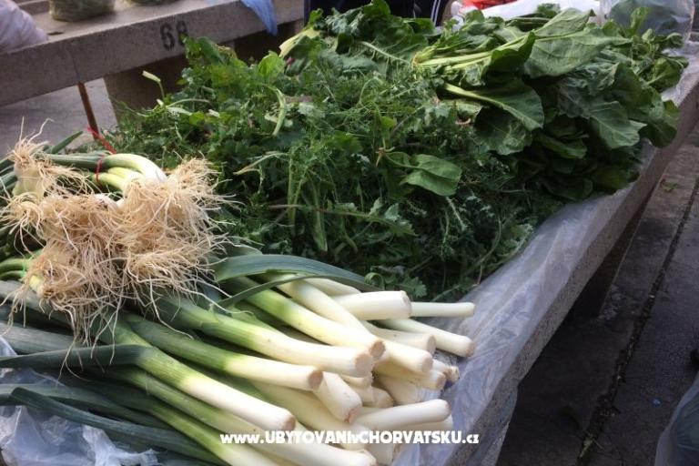 Kiwi Casa – foto 7