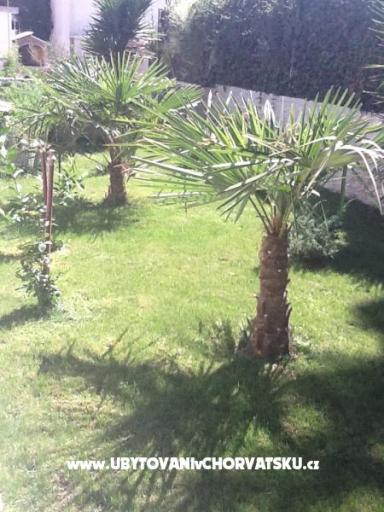 Villa Amelia – foto 9