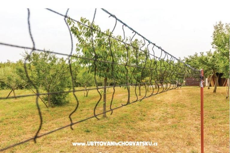 Appartamenti Anna  – foto 6