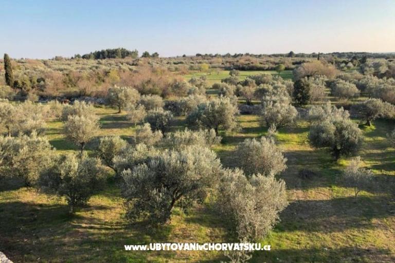 Casadigioia Appartamenti – foto 6